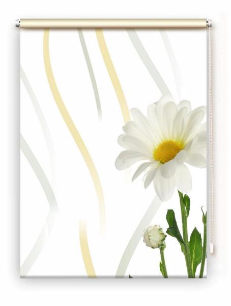 Rollo Margarete vertic rechts, Rollo, Motivrollo, Rollo mit Druck, Fotorollo, bedrucktes Rollo, Fensterrollo,verdunkelndes Rollo, Sonnenschutz Rollo